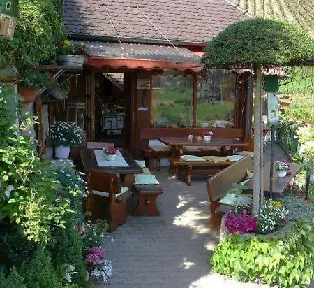 Affittacamere Transylvania House *