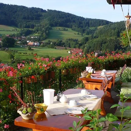 Transylvania House *