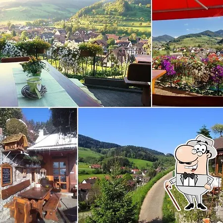 Transylvania House Affittacamere *