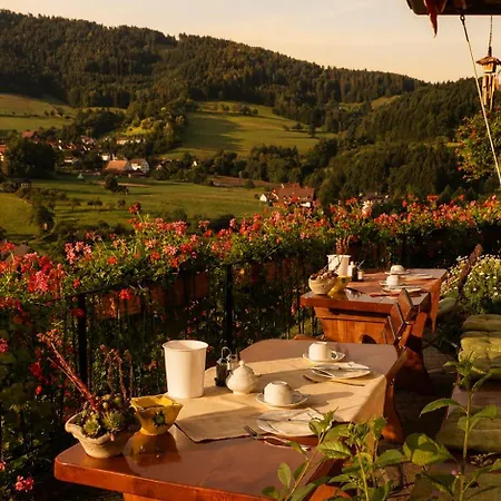 Transylvania House Affittacamere *